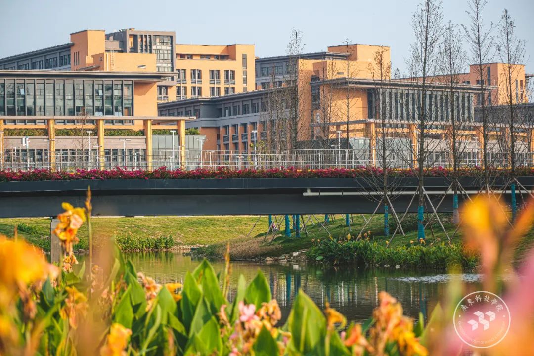 广东科技学院松山湖校区