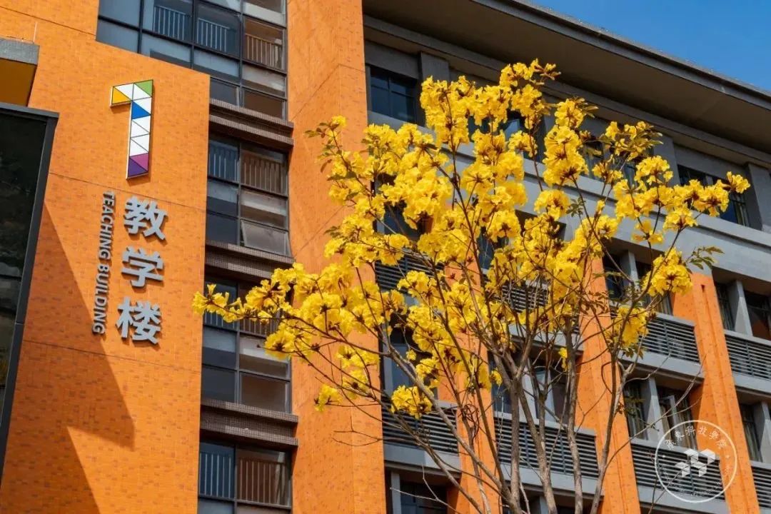 广东科技学院松山湖校区